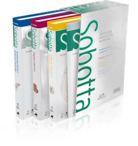 Sobotta Atlas de Anatomia Humana - 25ª Edição